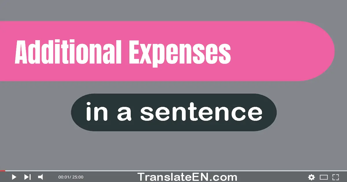 Use "additional expenses" in a sentence | "additional expenses" sentence examples