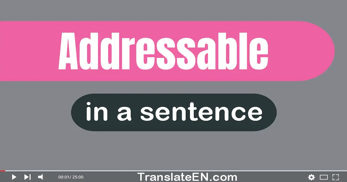 Use "addressable" in a sentence | "addressable" sentence examples