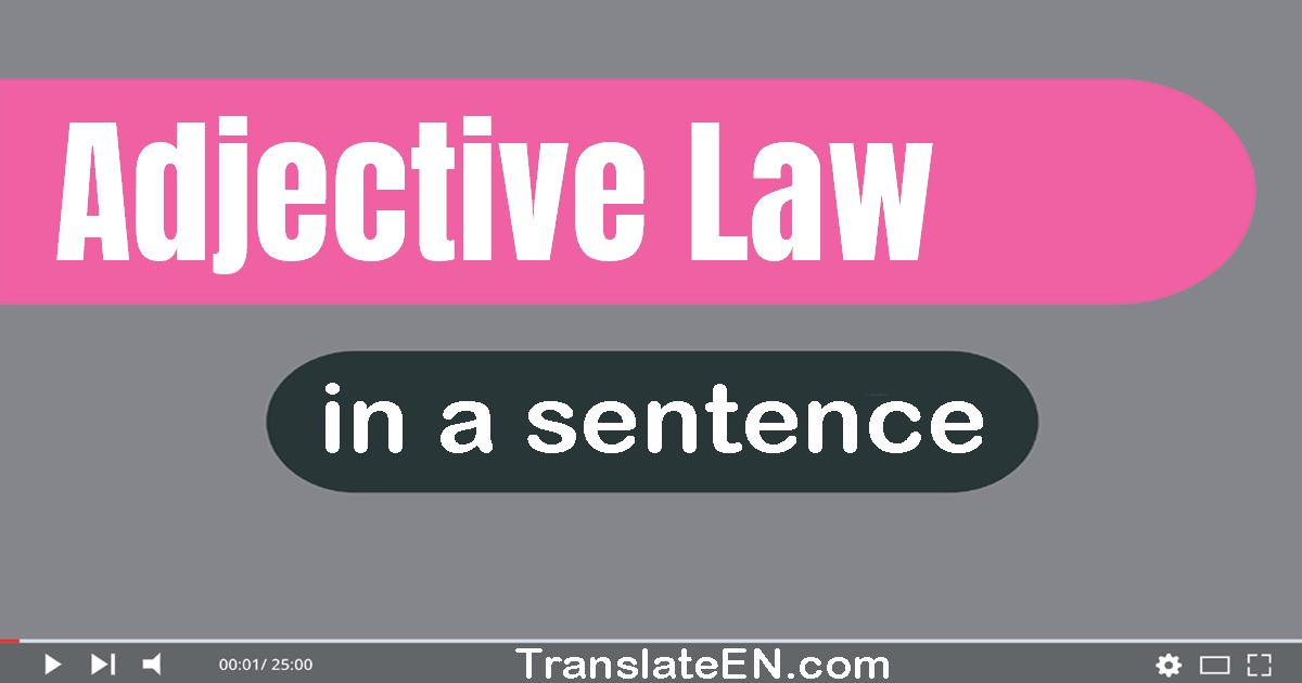 Use "adjective law" in a sentence | "adjective law" sentence examples