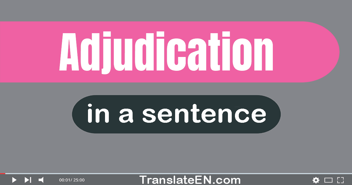 Use "adjudication" in a sentence | "adjudication" sentence examples