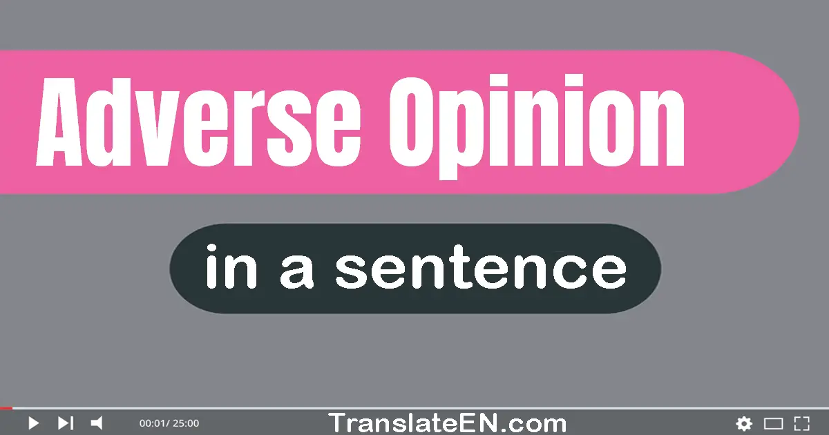 Use "adverse opinion" in a sentence | "adverse opinion" sentence examples