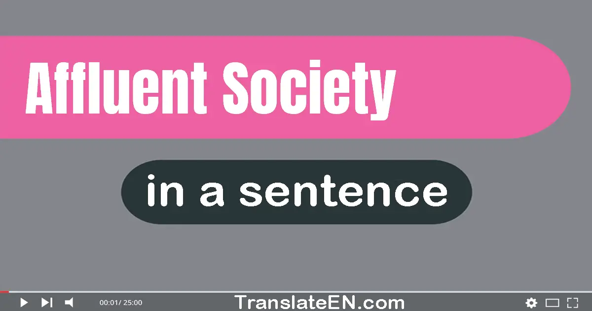 Use "affluent society" in a sentence | "affluent society" sentence examples