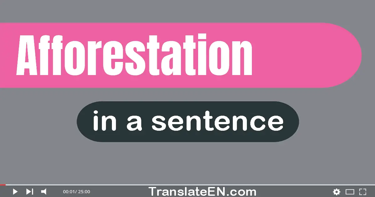 Use "afforestation" in a sentence | "afforestation" sentence examples