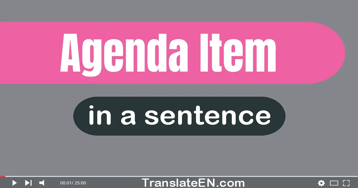 Use "agenda item" in a sentence | "agenda item" sentence examples