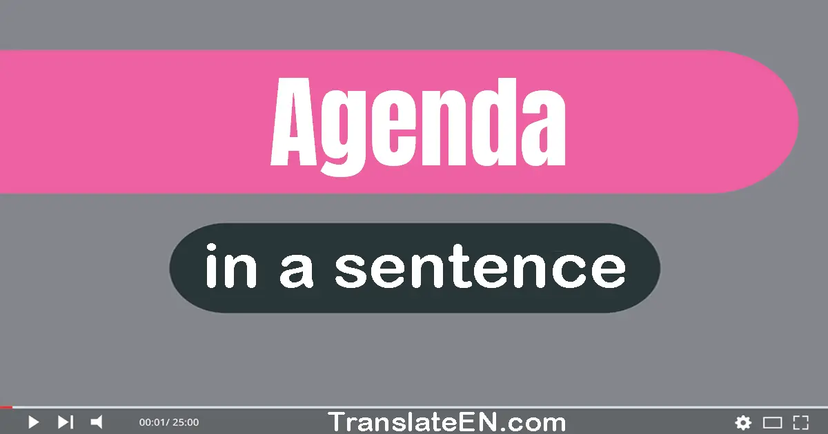 Use "agenda" in a sentence | "agenda" sentence examples