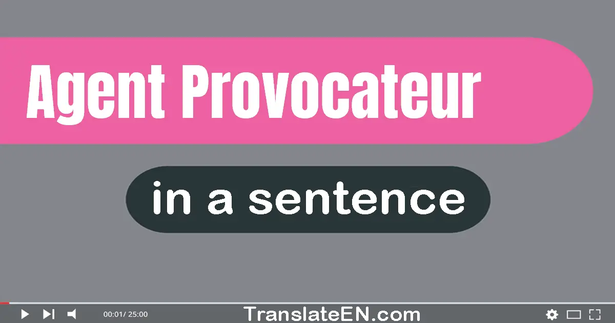 Use "agent provocateur" in a sentence | "agent provocateur" sentence examples