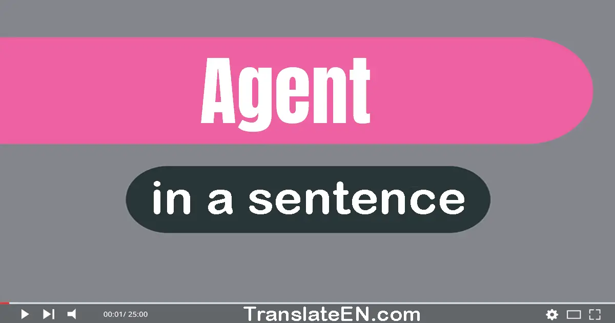 Use "agent" in a sentence | "agent" sentence examples