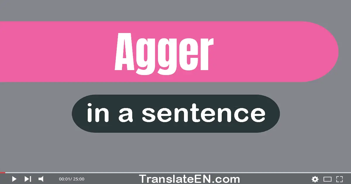 Use "agger" in a sentence | "agger" sentence examples