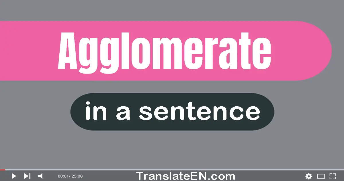 Use "agglomerate" in a sentence | "agglomerate" sentence examples