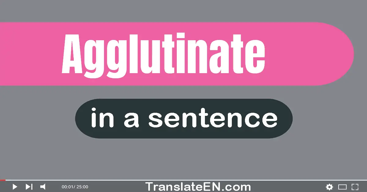 Use "agglutinate" in a sentence | "agglutinate" sentence examples