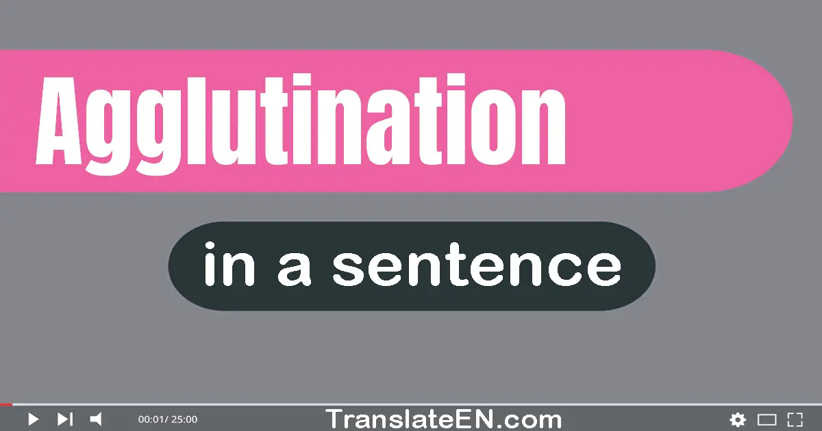 Use "agglutination" in a sentence | "agglutination" sentence examples