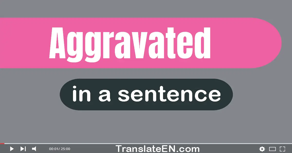 Use "aggravated" in a sentence | "aggravated" sentence examples