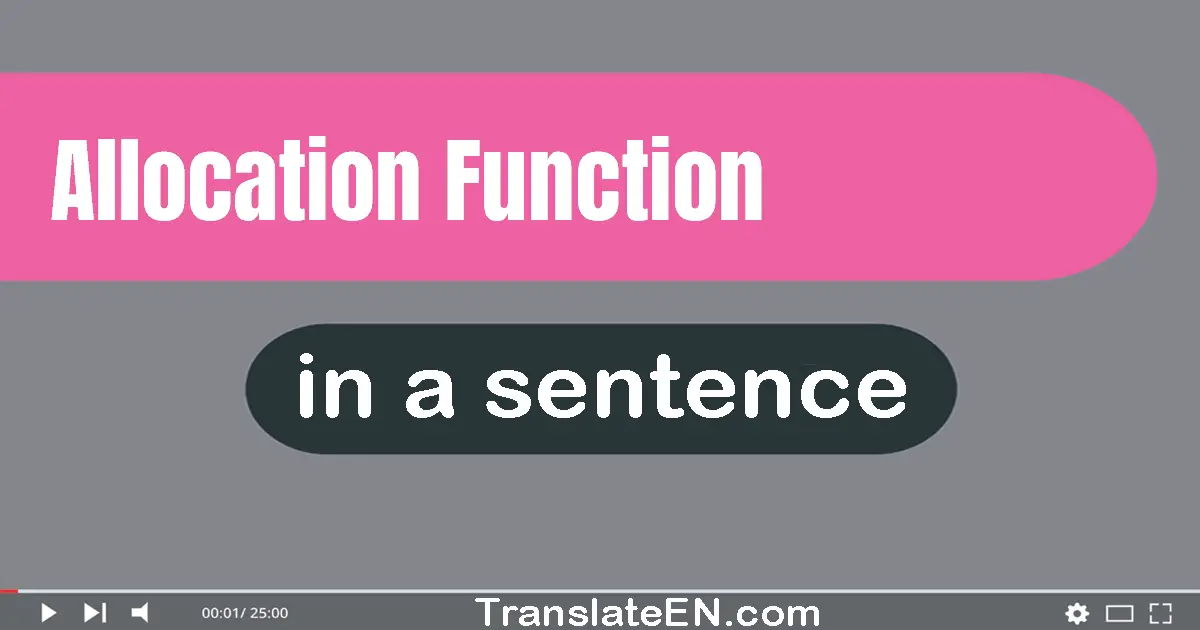 Use "allocation function" in a sentence | "allocation function" sentence examples