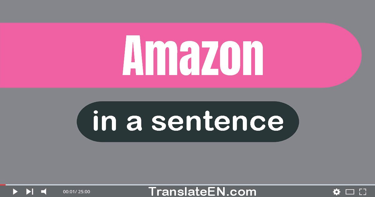 Use "amazon" in a sentence | "amazon" sentence examples