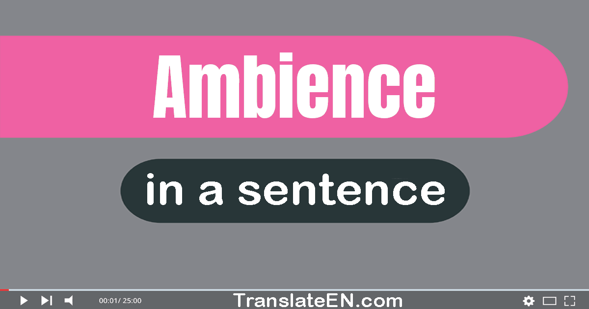 Use "ambience" in a sentence | "ambience" sentence examples