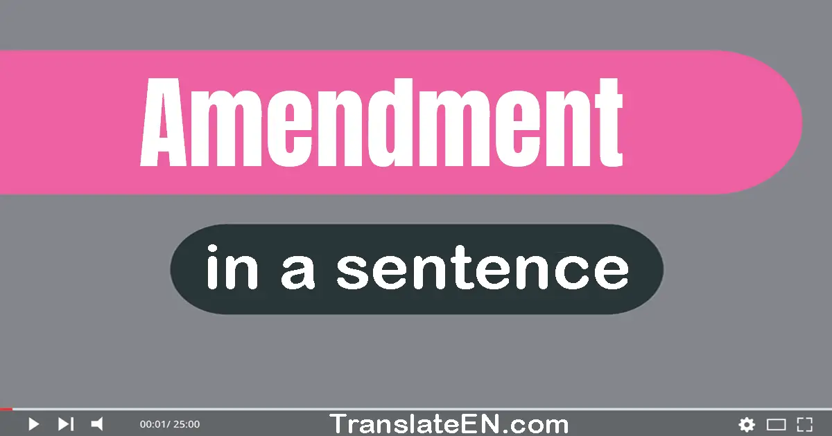 Use "amendment" in a sentence | "amendment" sentence examples
