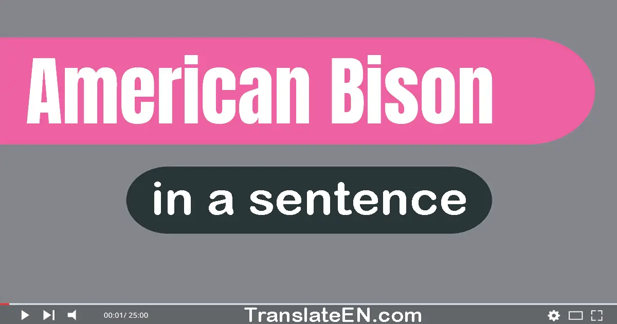 Use "american bison" in a sentence | "american bison" sentence examples