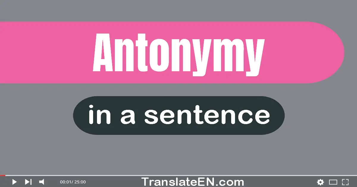 Use "antonymy" in a sentence | "antonymy" sentence examples