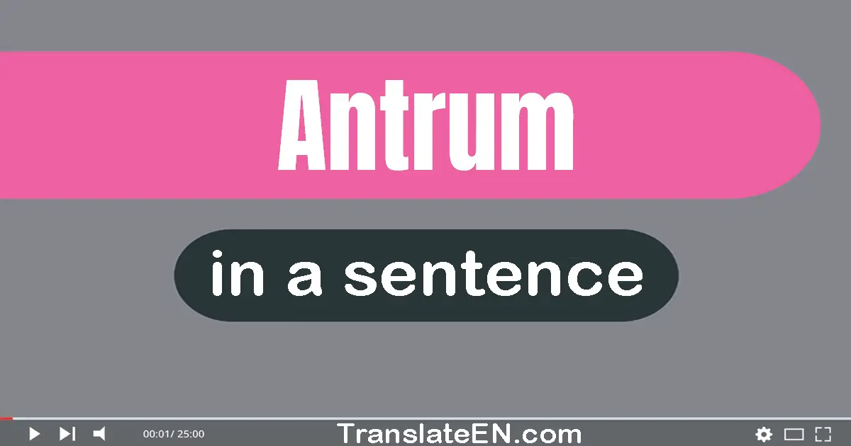 Use "antrum" in a sentence | "antrum" sentence examples