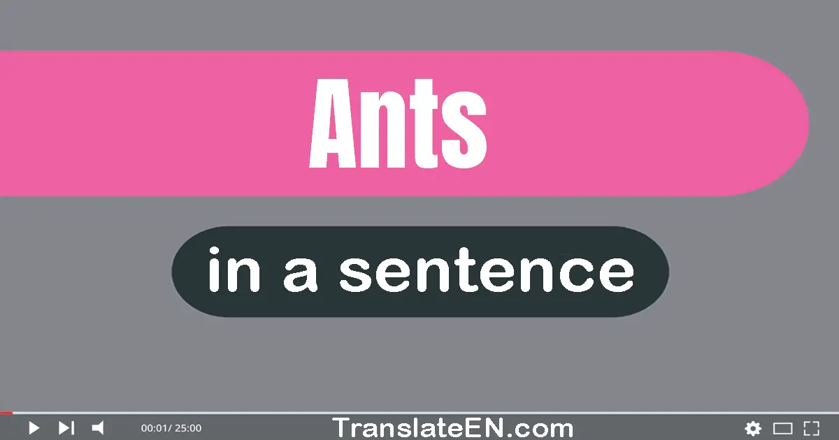 Use "ants" in a sentence | "ants" sentence examples