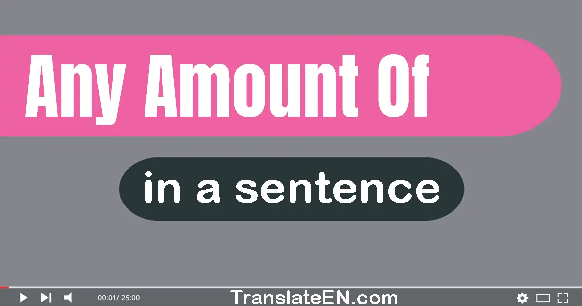 Use "any amount of" in a sentence | "any amount of" sentence examples