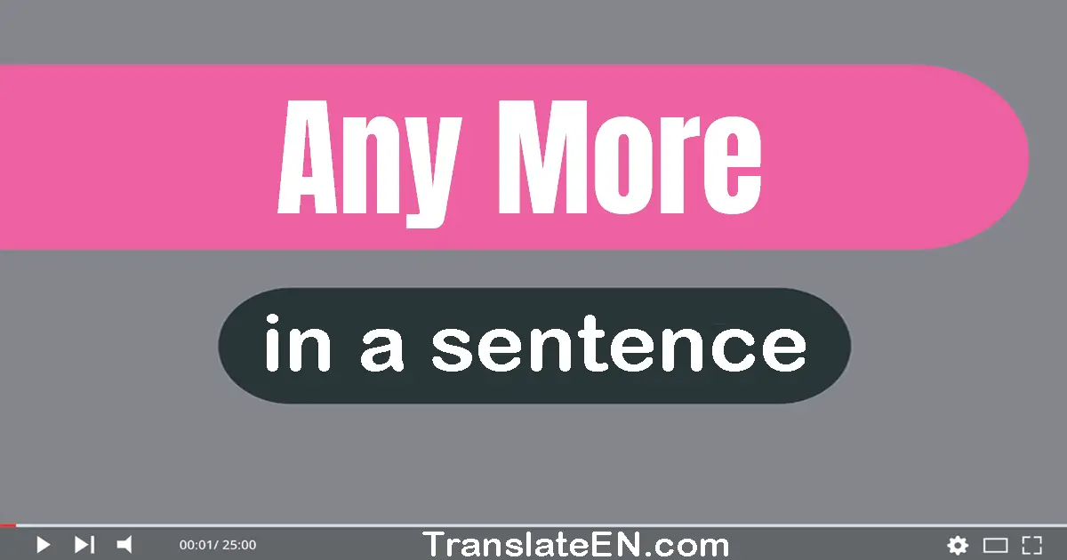 Use "any more" in a sentence | "any more" sentence examples
