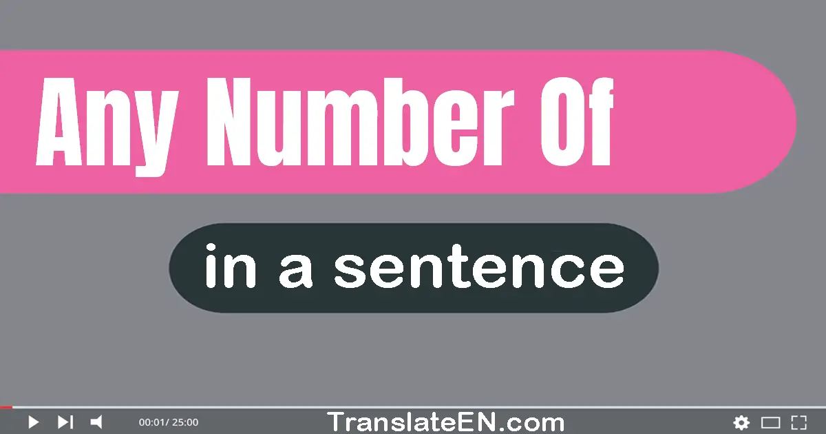 Use "any number of" in a sentence | "any number of" sentence examples