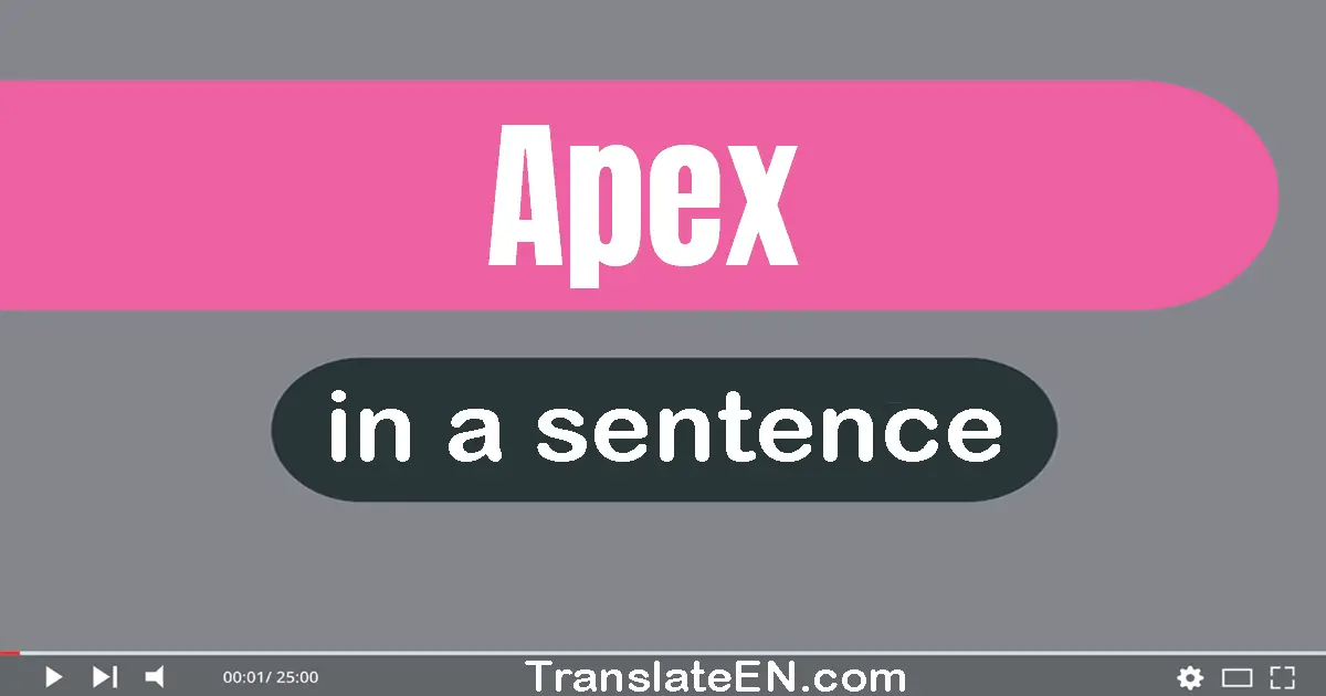 Use "apex" in a sentence | "apex" sentence examples