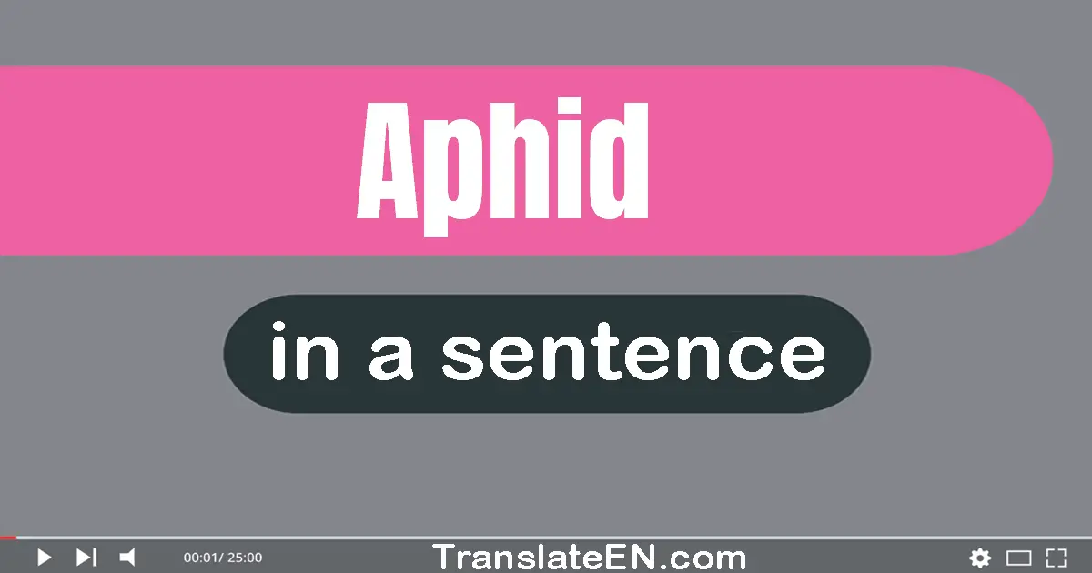 Use "aphid" in a sentence | "aphid" sentence examples