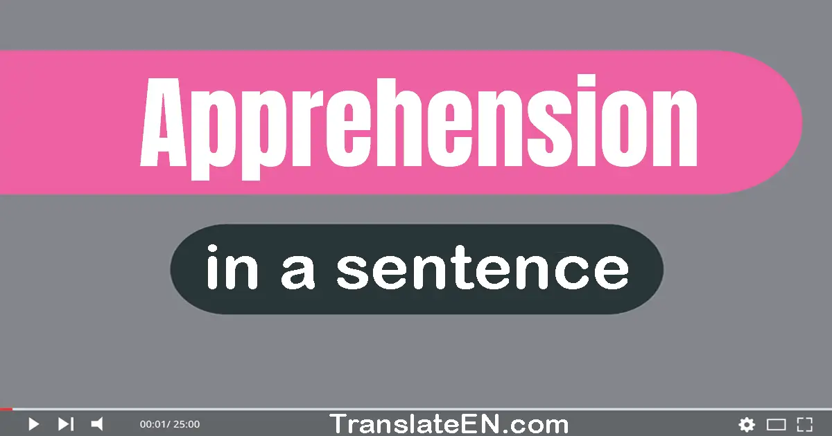 Use "apprehension" in a sentence | "apprehension" sentence examples