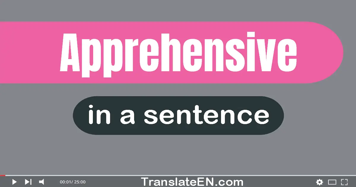 Use "apprehensive" in a sentence | "apprehensive" sentence examples