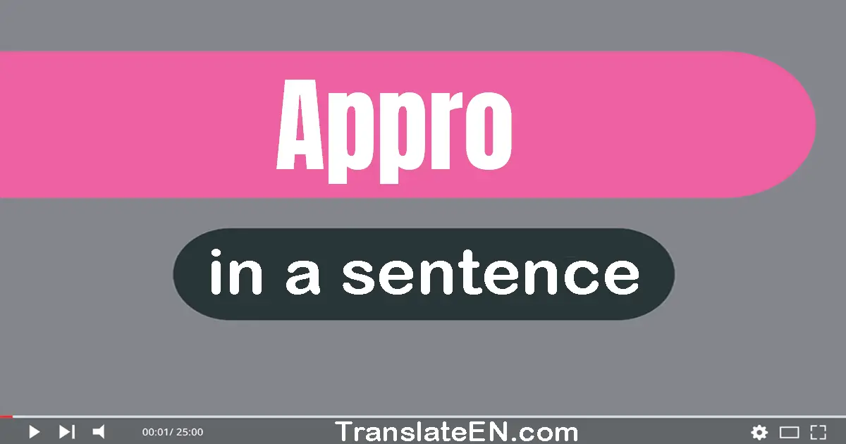 Use "appro" in a sentence | "appro" sentence examples