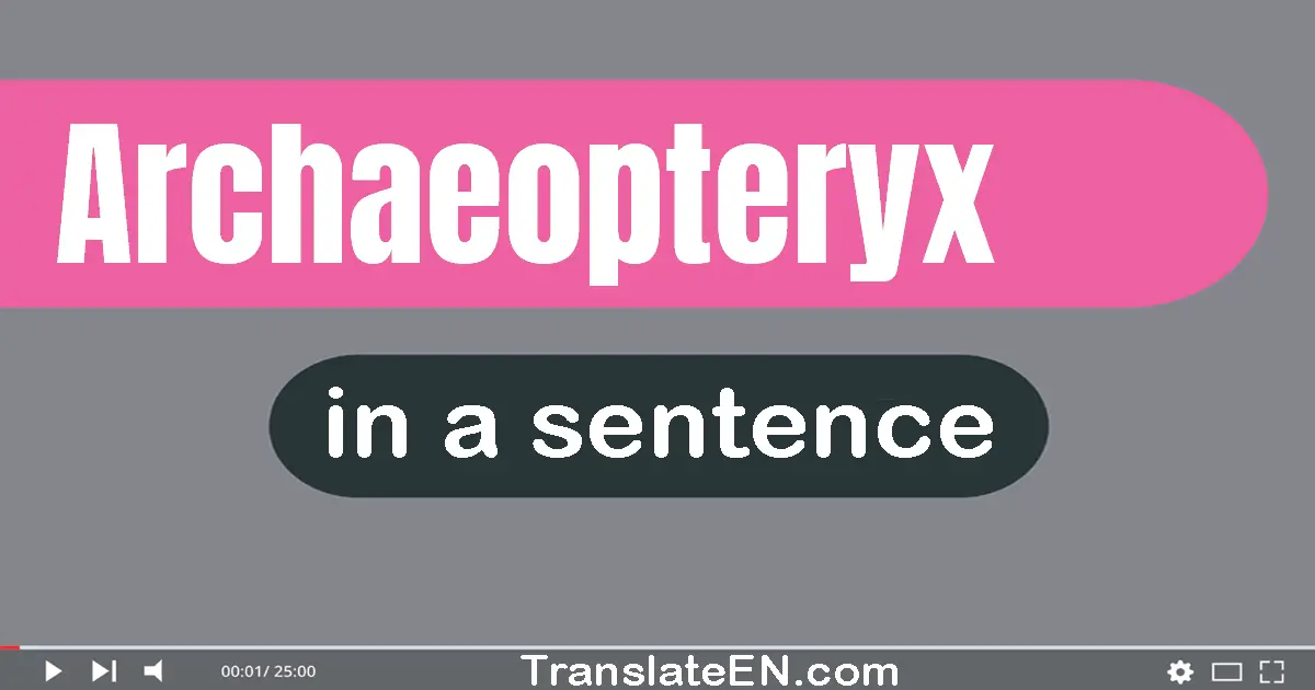Use "archaeopteryx" in a sentence | "archaeopteryx" sentence examples