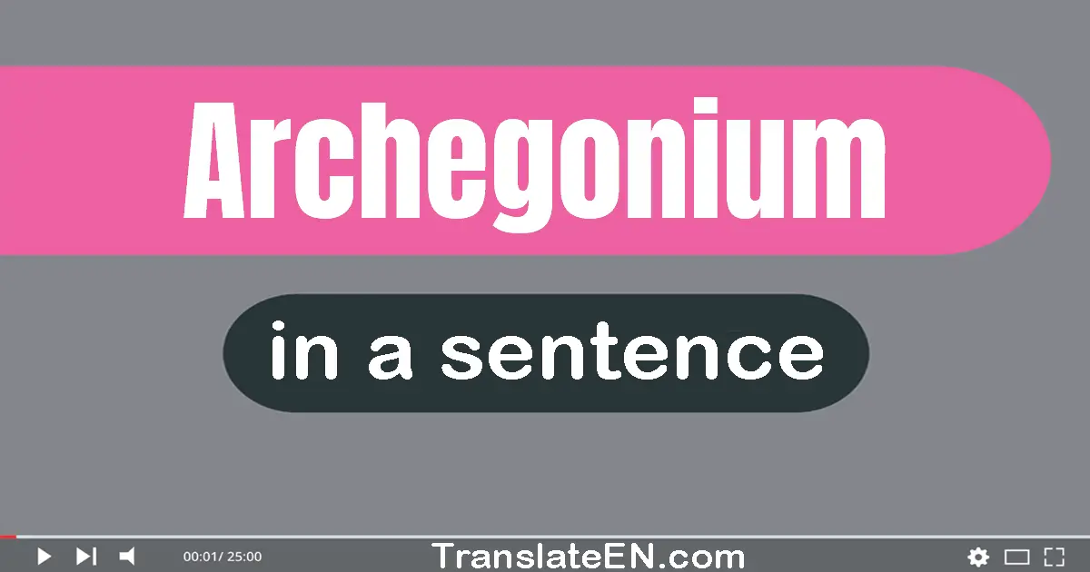 Use "archegonium" in a sentence | "archegonium" sentence examples