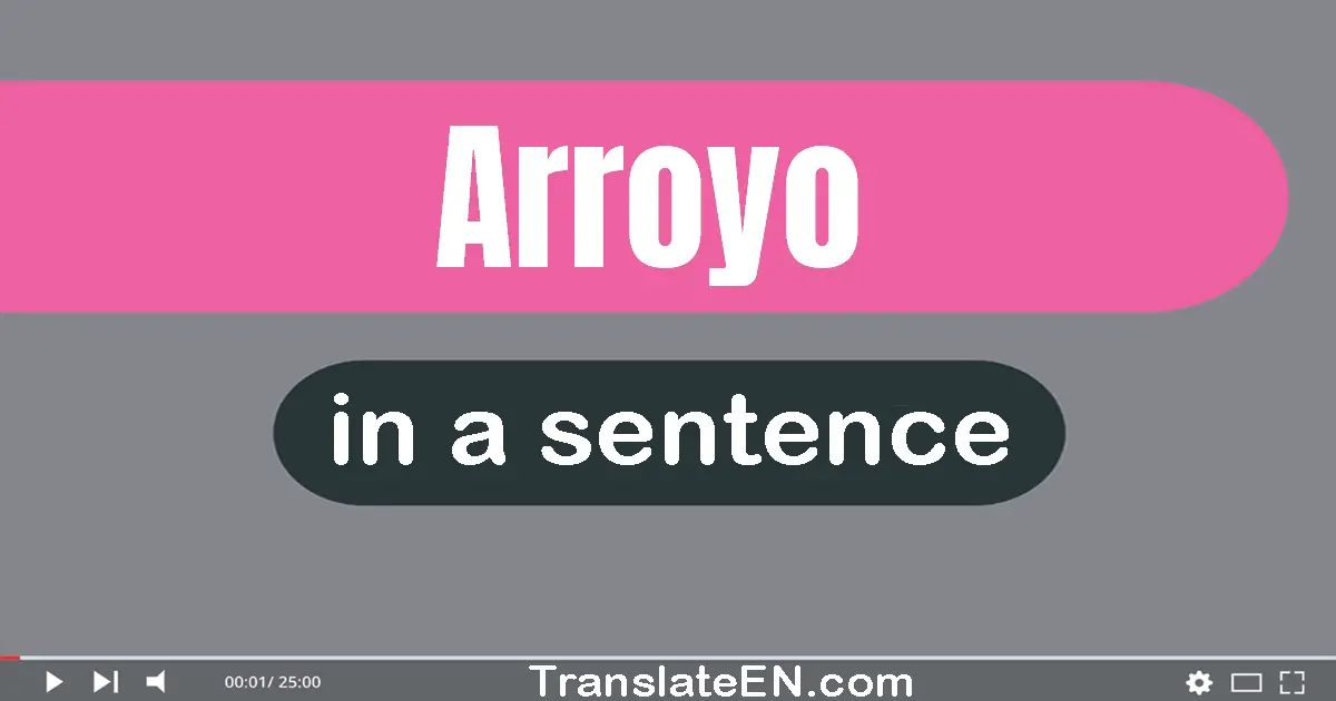 Use "arroyo" in a sentence | "arroyo" sentence examples
