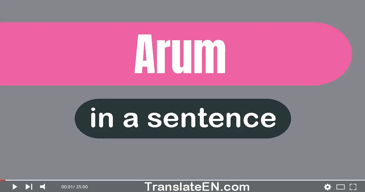 Use "arum" in a sentence | "arum" sentence examples