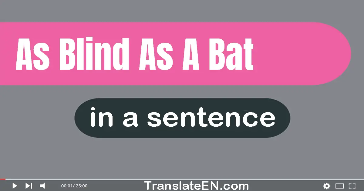 Use "as blind as a bat" in a sentence | "as blind as a bat" sentence examples