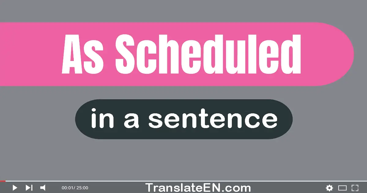 Use "as scheduled" in a sentence | "as scheduled" sentence examples
