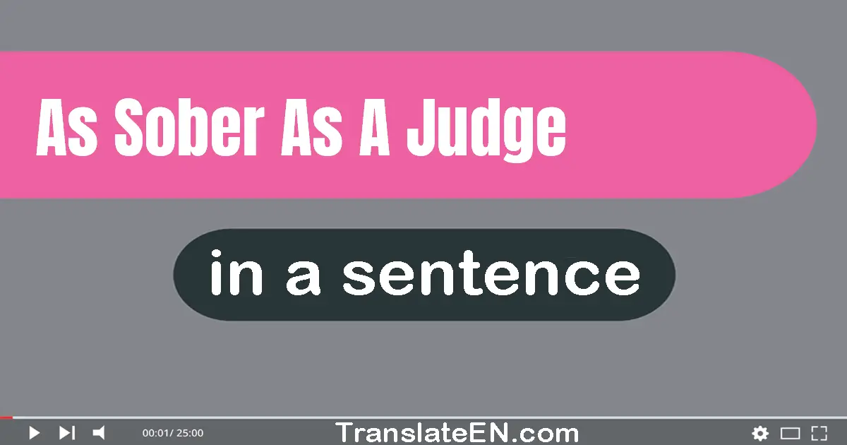 Use "as sober as a judge" in a sentence | "as sober as a judge" sentence examples