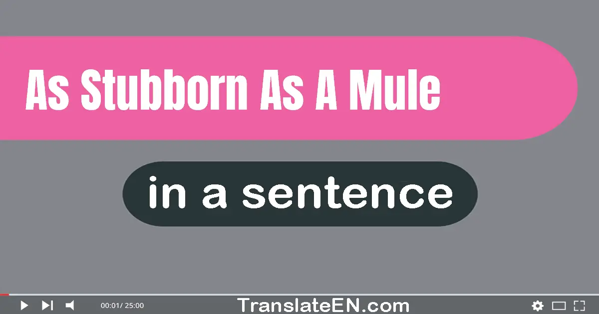 Use "as stubborn as a mule" in a sentence | "as stubborn as a mule" sentence examples
