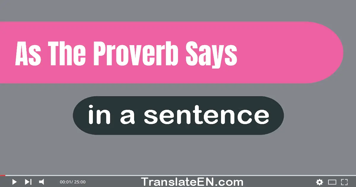 Use "as the proverb says" in a sentence | "as the proverb says" sentence examples