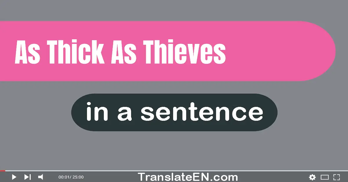 Use "as thick as thieves" in a sentence | "as thick as thieves" sentence examples