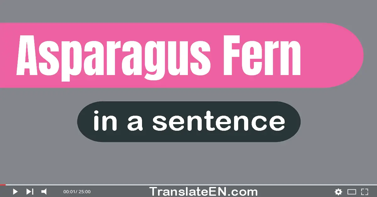 Use "asparagus fern" in a sentence | "asparagus fern" sentence examples