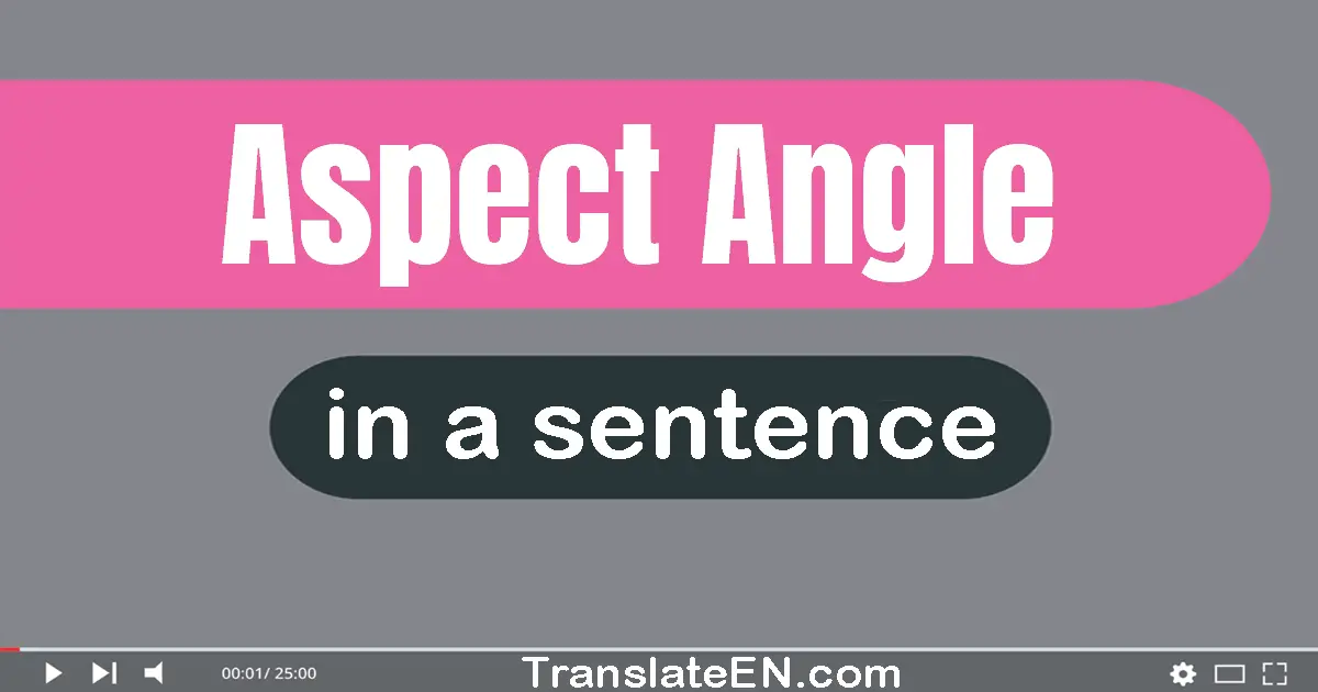 Use "aspect angle" in a sentence | "aspect angle" sentence examples