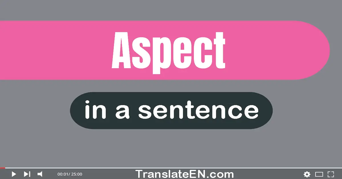 Use "aspect" in a sentence | "aspect" sentence examples