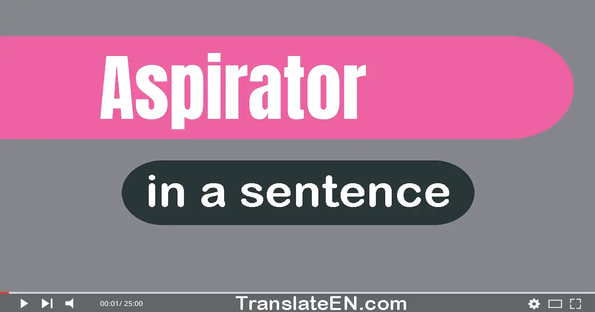 Use "aspirator" in a sentence | "aspirator" sentence examples