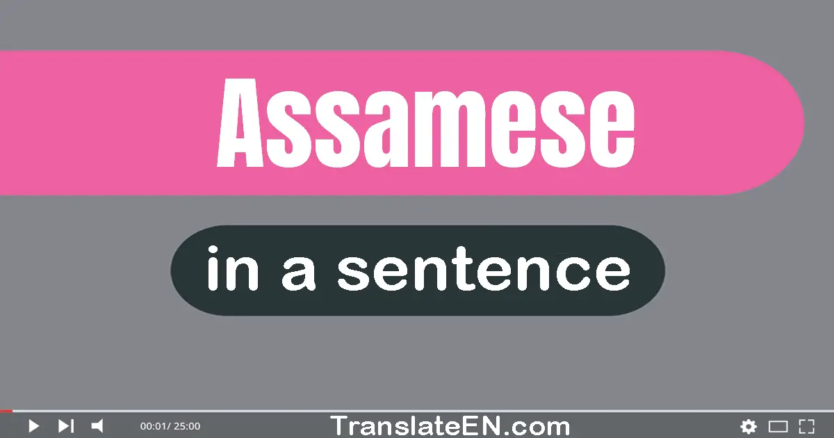 Use "assamese" in a sentence | "assamese" sentence examples