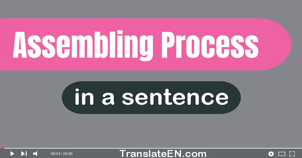 Use "assembling process" in a sentence | "assembling process" sentence examples