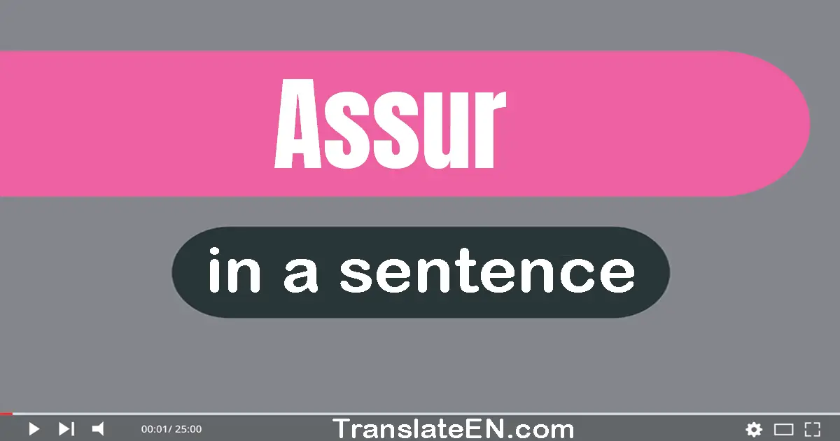 Use "assur" in a sentence | "assur" sentence examples