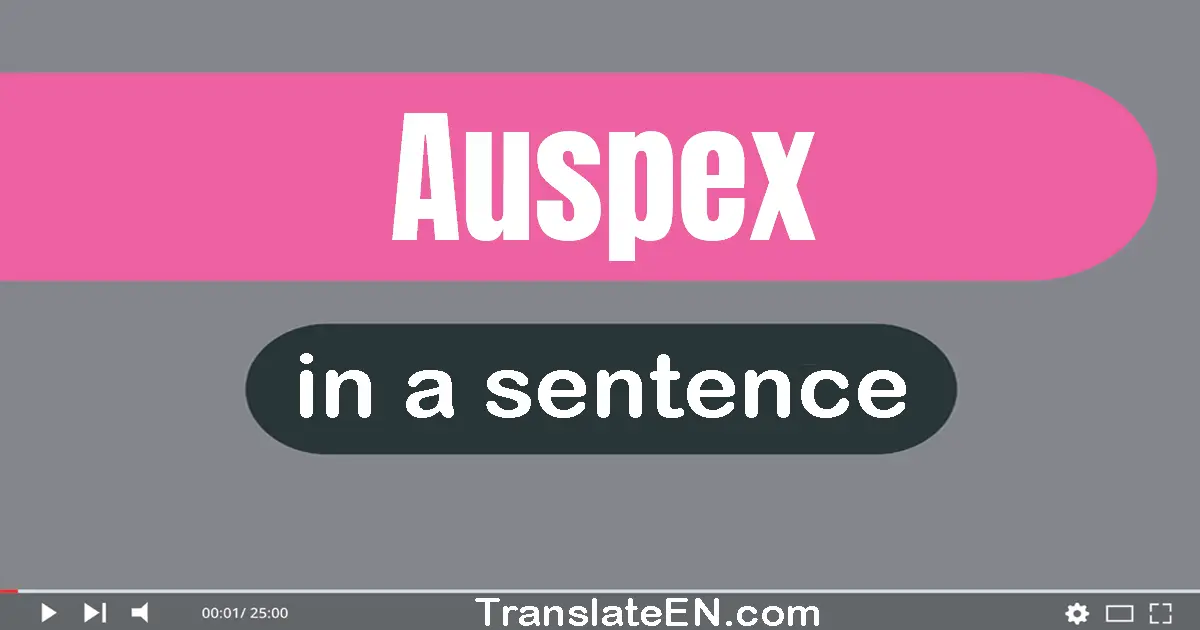 Use "auspex" in a sentence | "auspex" sentence examples